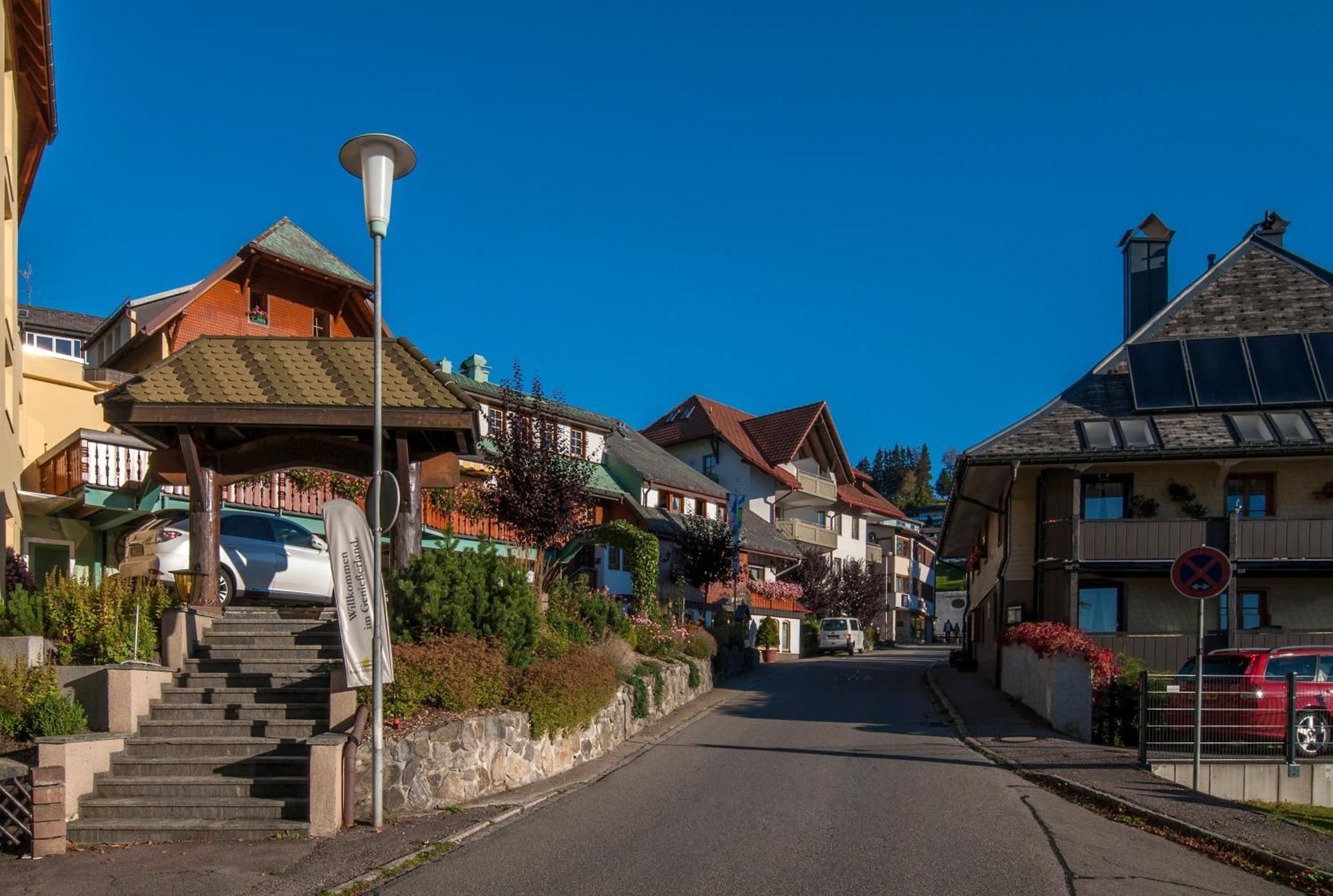 Apartment 03 - Ferienresidenz Roseneck, Mit Schwimmbad In Todtnauberg Bei Feldberg Exterior foto